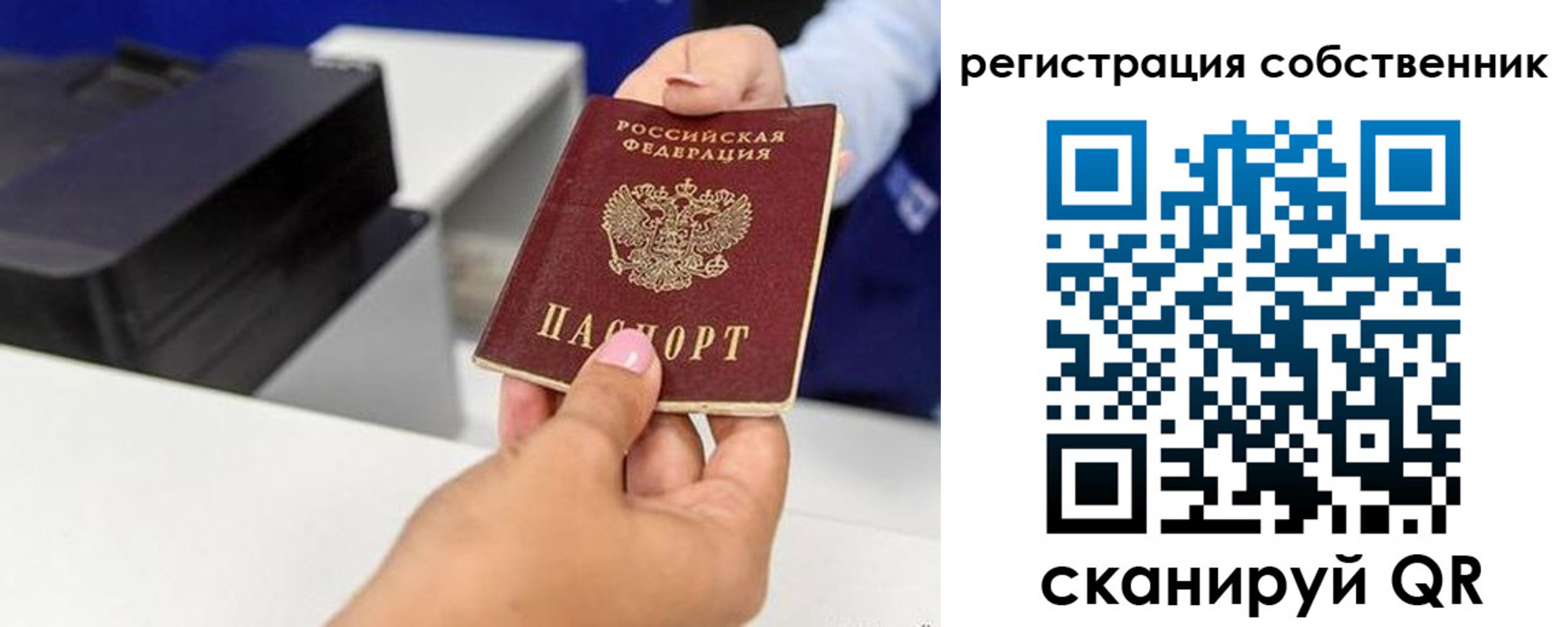 прописка для школы в Зеленоградске